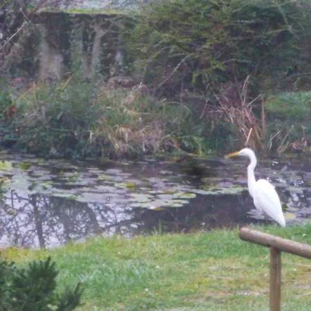 Panzió Clos Muneau 3*