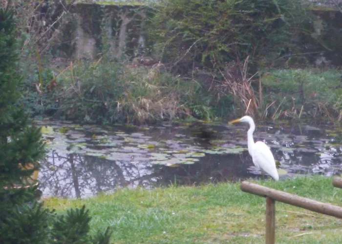 فندق مبيت وإفطار Clos Muneau 3*